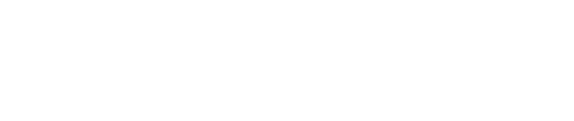 Лого эконом.png